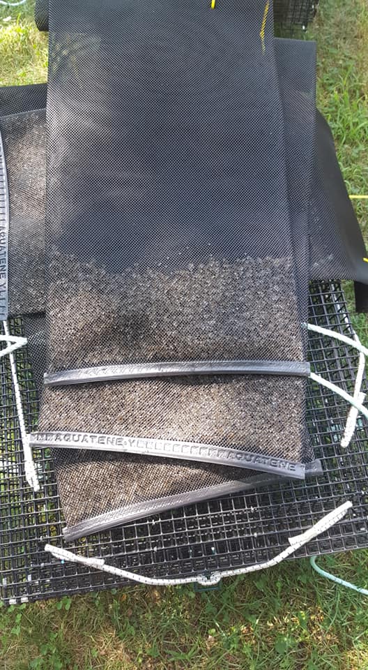 Diamond mesh bags with PVC slider filled with small oyster seed sitting displayed on tope of oyster trays